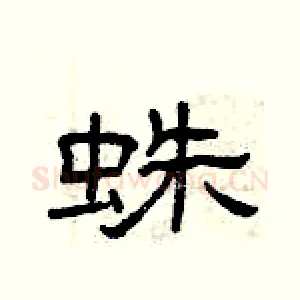 蛛