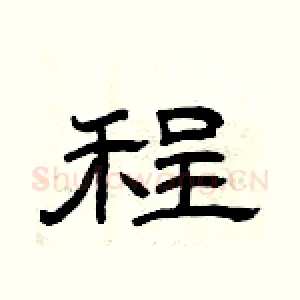 程