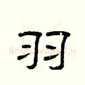羽