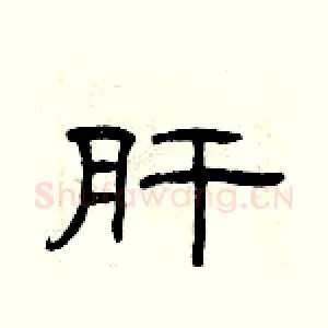 肝