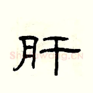 肝