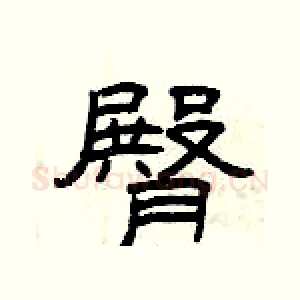 臀