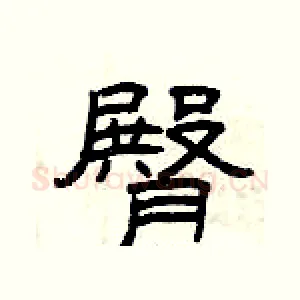 臀