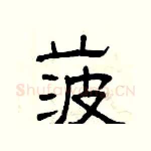 菠