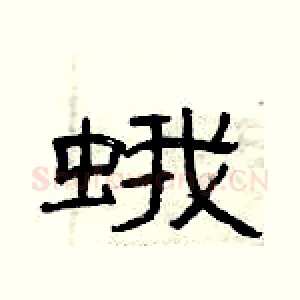 蛾