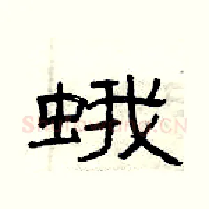 蛾