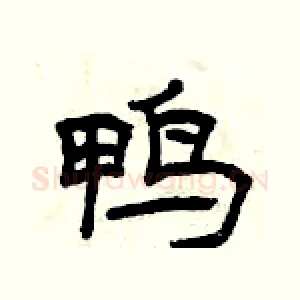 鸭