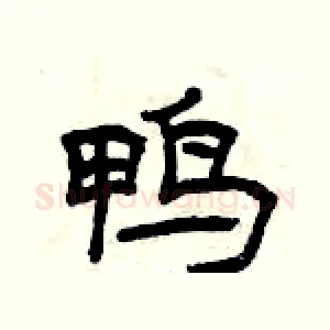 鸭