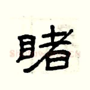 睹