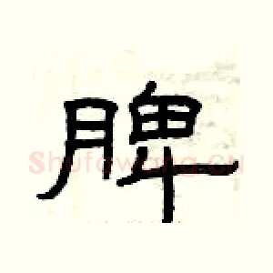脾