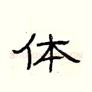 体