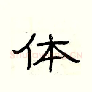 体