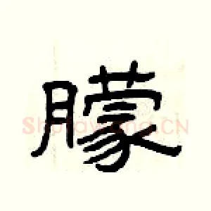 朦