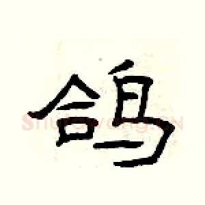 鸽
