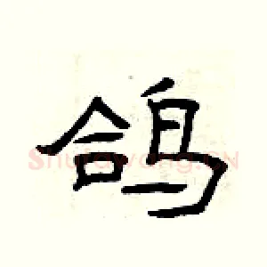 鸽