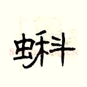 蝌