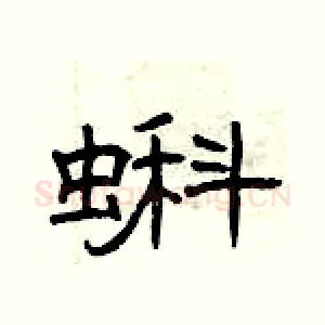 蝌