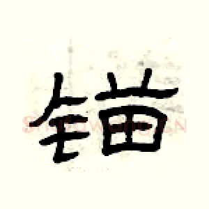 锚