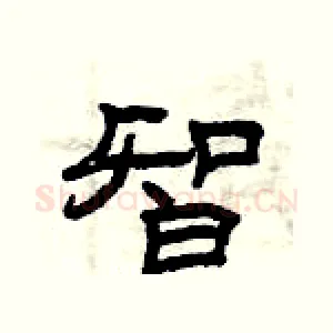 智