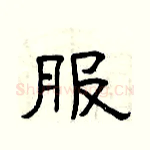 服