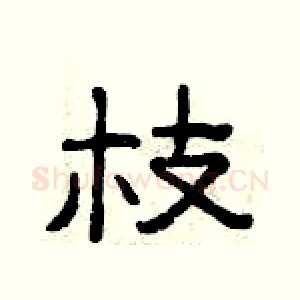 枝