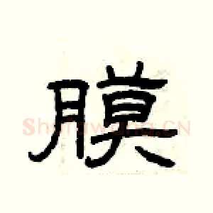 膜