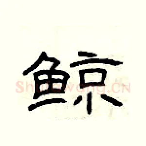 鲸