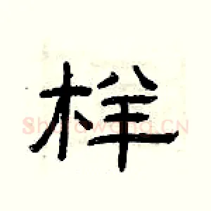 样
