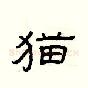 猫