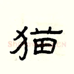 猫