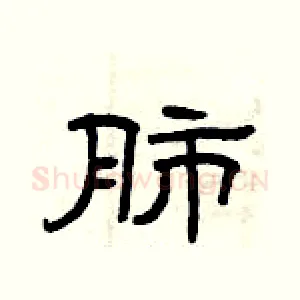肺
