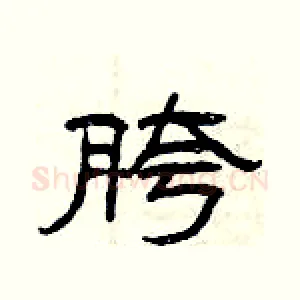 胯