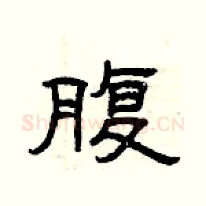 腹