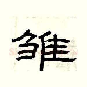 雏