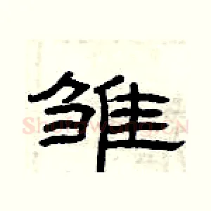 雏