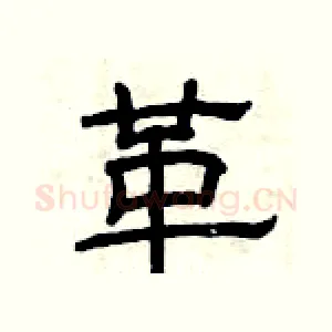 革