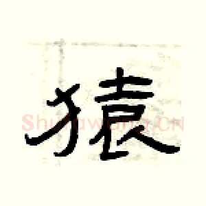 猿
