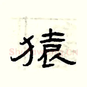 猿