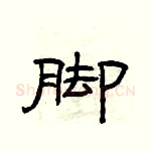 脚