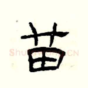 苗