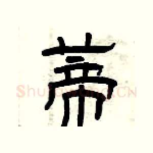 蒂
