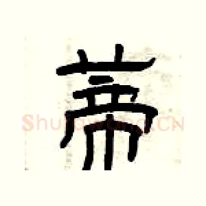 蒂