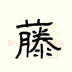 藤