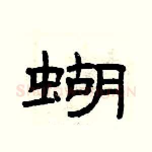 蝴