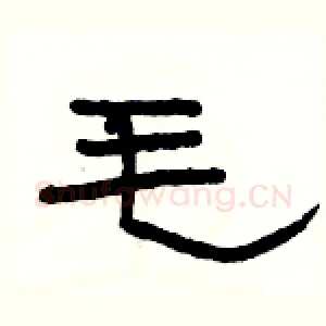 毛
