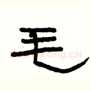 毛