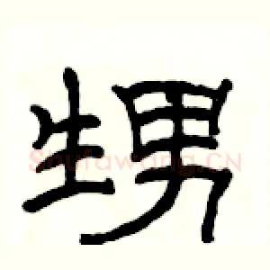 甥