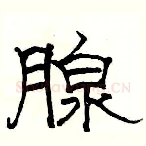 腺