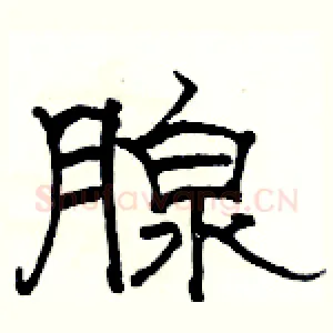 腺