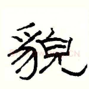 貌